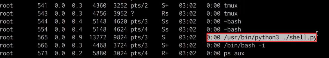 ps aux output with shell.py visible